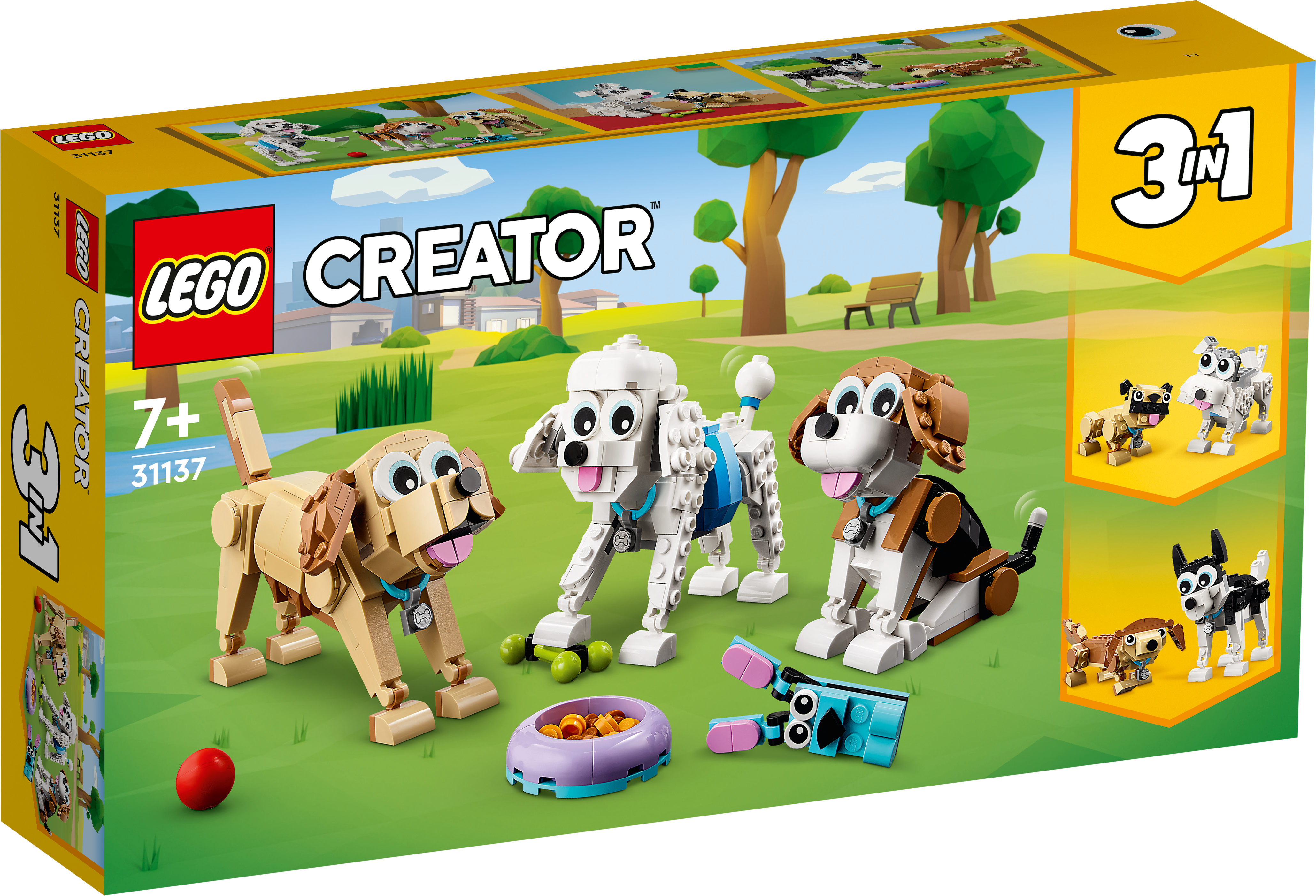 LEGO® Icons 10311 Orchid
