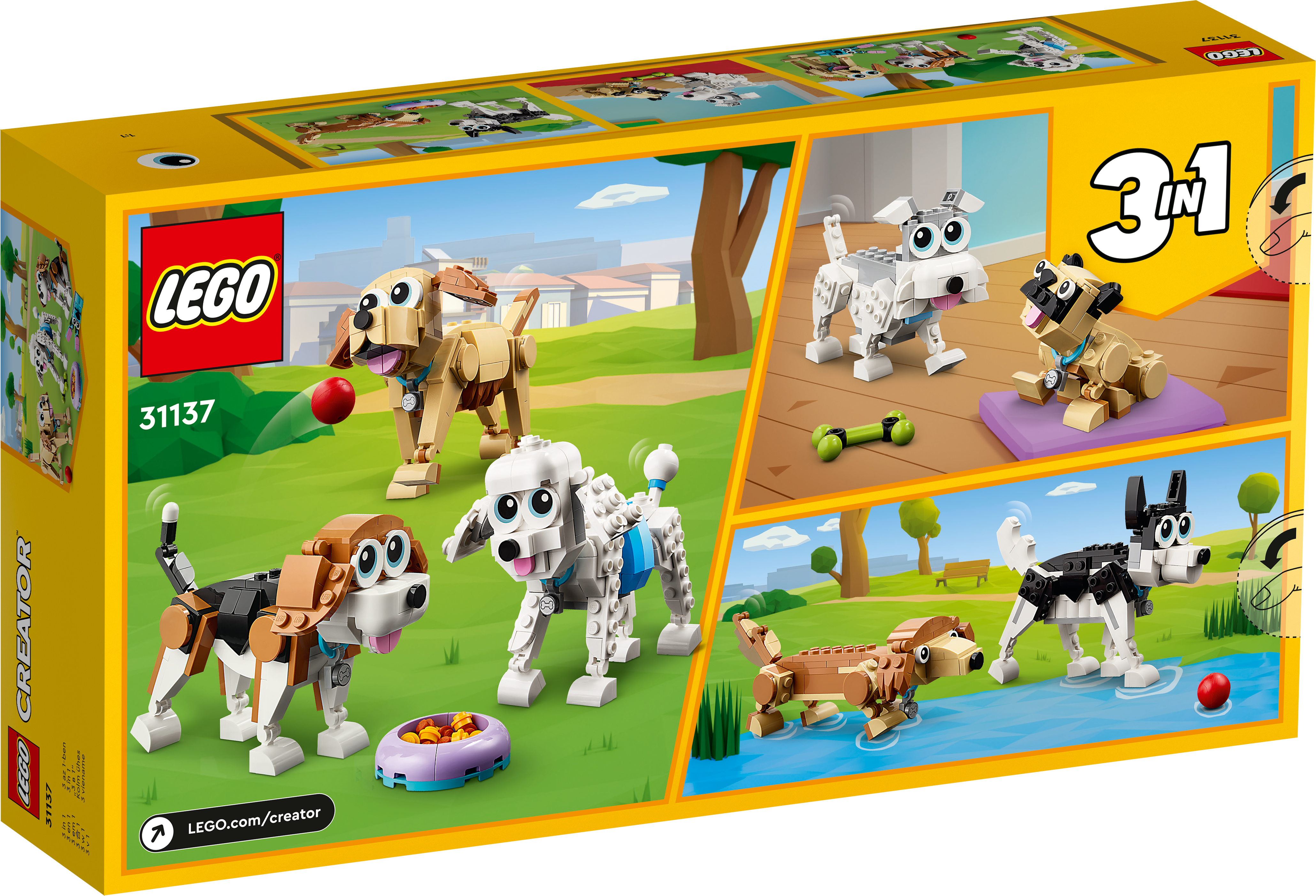 LEGO® Icons 10311 Orchid